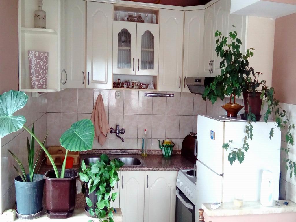 Apartment Luka Ohrid Ruang foto